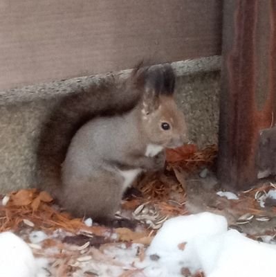 fl3zdnYb13uEvpm's profile picture. 🦫友の会会員❤️無言フォローいいね👍失礼します🙇
5/24代々木　6/20,21ZOZO

　#superbeaver好きな人と繋がりたい
　#superbeaver