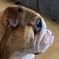 Dr-Zuse (@dr_zeuse) 's Twitter Profile