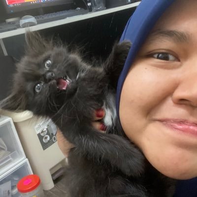 atennnng's profile picture. Nothing to display