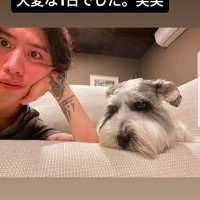 でめたん ßź UNITE#2 ONE OK ROCK✌️ (@snow_scom) 's Twitter Profile
