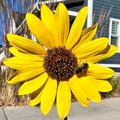 paulettedeedot's profile picture. inviting you to BlueSky @paulette16.bsky.social - another small way to create a better world