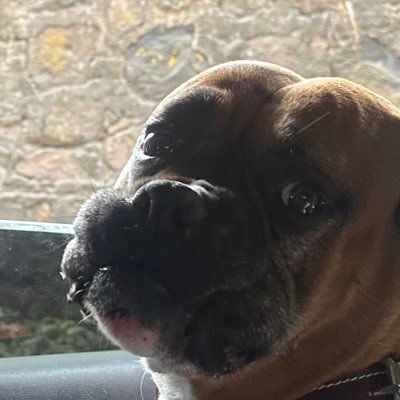 YovoPizza's profile picture. 