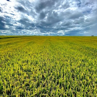 GC_3007's profile picture. No temas a ser libre 
Se protagonista de tu propio camino
Estudiar y formarse son las herramientas de tu futuro digno 
Más honestidad Más humildad