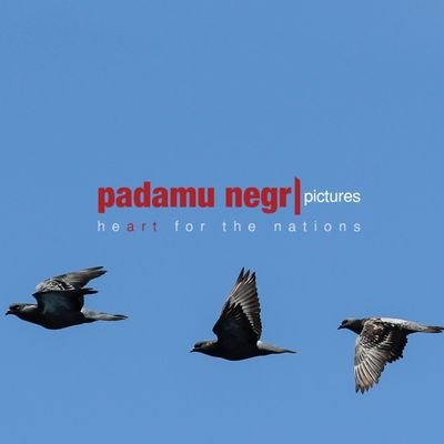 padamunegripict's profile picture. History needs to be recorded