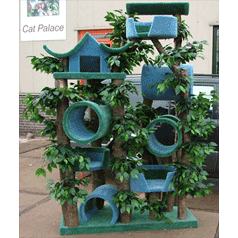 The website of Cat Palace/Palace 4 Cats. We sell all kinds of solid cat trees for your cats, custom size also possible! World wide shipping. No DM, please
