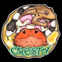 爬虫類専門店ＣＲＥＳＴＡ(@reptile_CRESTA) 's Twitter Profile Photo