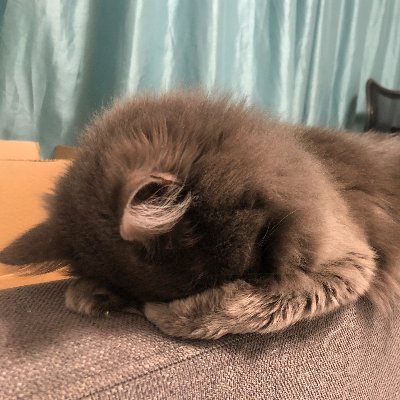 lastikMa's profile picture. https://t.co/gvHQ9stGYz
DEVE scam