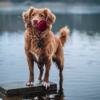 ゆな (@yunasan_koiba) Twitter profile photo