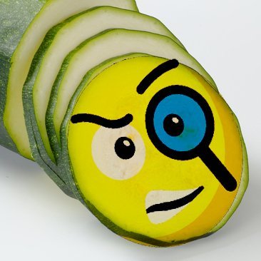 courgetteninja Profile Picture