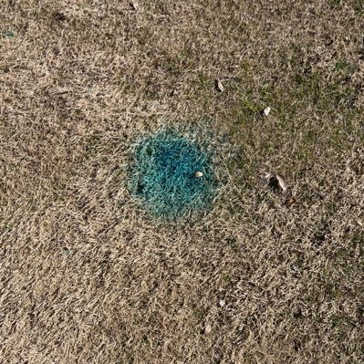 alilonat's profile picture. 嵐/SUPER EIGHT/星のカービィ/小池徹平/志尊淳/吉沢亮/菅田将暉/中川大志/板垣瑞生/本田響矢/中川大輔/西垣匠/and more……