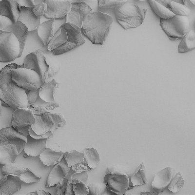 kingcheeta1's profile picture. 