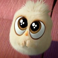 mah kum (@bumahkumbu) 's Twitter Profile