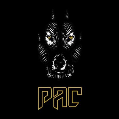 PAC PERFORMANCE Profile