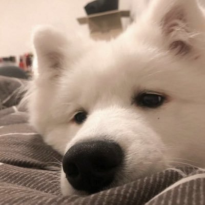 K_vckvc's profile picture. 大学生