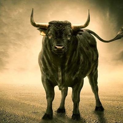 mausamsim's profile picture. 