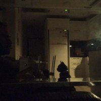 okulöncesinindedesi (@okulonceside) Twitter profile photo