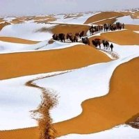 ابو سفيان (@isak53030136) 's Twitter Profile Photo ابو سفيان (@isak53030136) 's Twitter Profile Photo