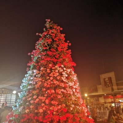 RCOARICONA's profile picture. Asía-Pacífico 🌏🇵🇪🌎