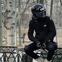 Björk (@jborgnapier) 's Twitter Profile