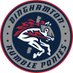 Binghamton Rumble Ponies (@RumblePoniesBB) Twitter profile photo