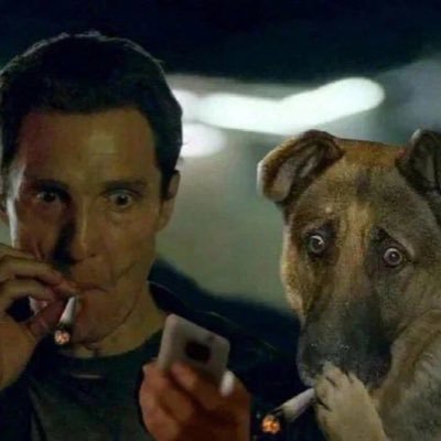 Pelvadios's profile picture. 