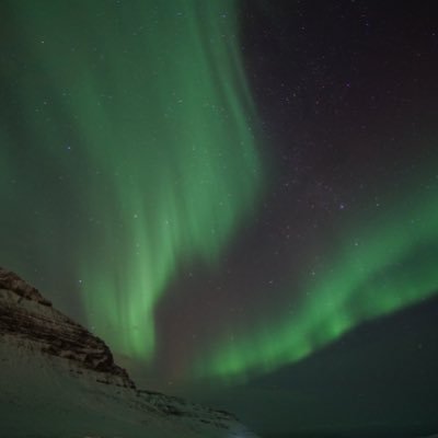 Bf3Franz's profile picture. $BOBA $NPC