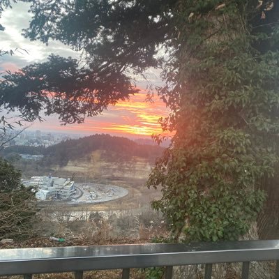 今年も生き抜く