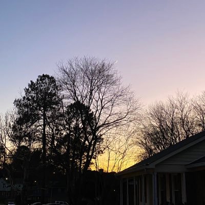 cuteprincessboy's profile picture. I am a BOY