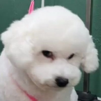 aebara_'s profile picture. just tots | still breathing |🎙🌻