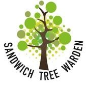 Loving trees 🌳🌳- Sandwich Volunteer as a part of the Kent Tree Warden Network and the national Tree Warden Scheme run by the Tree Council.