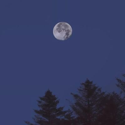 oubingjia's profile picture. 