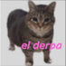 El derpa (@flshdrp9) Twitter profile photo El derpa (@flshdrp9) Twitter profile photo
