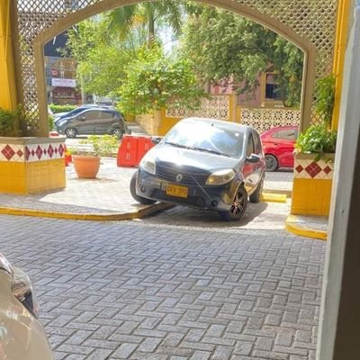 fotomultactg's profile picture. Nos tocó recurrir al escarnio público. Envié sus denuncias al DM ó al correo mendepied@gmail.com