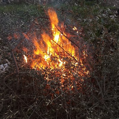 leventulutas2's profile picture. 