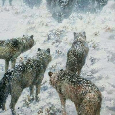 EhsnSfrz's profile picture. 