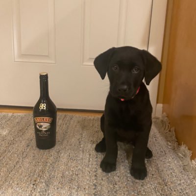 HeraghtyKevin's profile picture. 