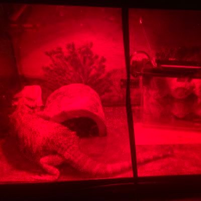 Tin21921693's profile picture. y’all go follow my gorgeous wife and her pretty feet 🦶🏻