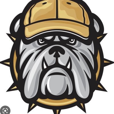 Nederland Baseball Profile