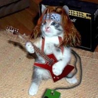 Sherab yourMOM (@choedra_sherab) 's Twitter Profile