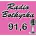 Radio Botkyrka 91,6 (@radiobotkyrka) Twitter profile photo