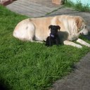 Lynne Hand - @lynney50 - Twitter