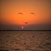 Barbara Pfeffer (@bapfeffer97) 's Twitter Profile Photo