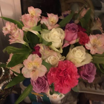 Mel92762145's profile picture. Love my garden. I enjoy travel.