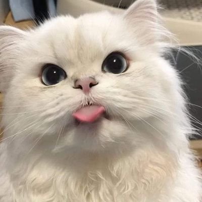 hshshshs_15's profile picture. 