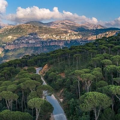 ahmadjo51697506's profile picture. الشدائد تعري الحقيقة فعليك بالعلم