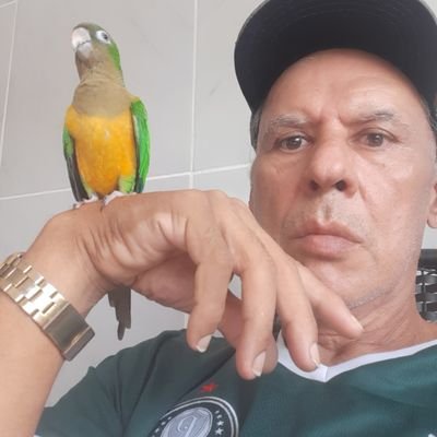 Caminhada todos os dias,
com ele Jesus Cristo no comando,
obrigado!!!!