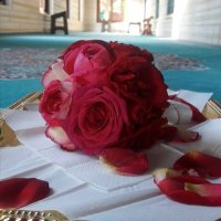 KOYUgölge (@slmnerz15) Twitter profile photo