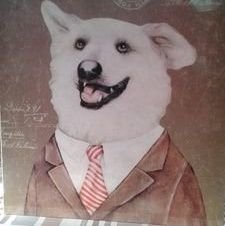 BetoSoenksen's profile picture. Ya llegaré a mis 3.210 seguidores que tenía, los pobres zurdeques no me podrán callar.
Viva Chile Libre , no sometido a la basura izquierdista.🇨🇱🇨🇱 🇨🇱