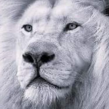 kat5kan1's profile picture. Globalized power IS NEVER the solution! Freedom should always be transparent, not controlled or mandated EVER! Follower of a Warrior of truth @globalfreedomm