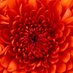 Ana Martí (@anamart11505584) Twitter profile photo Ana Martí (@anamart11505584) Twitter profile photo